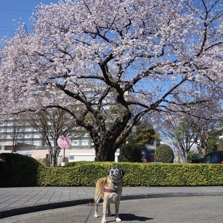 9ed3676e 5d72 4b2a 8d0e 41446a4441b1 1661645259252