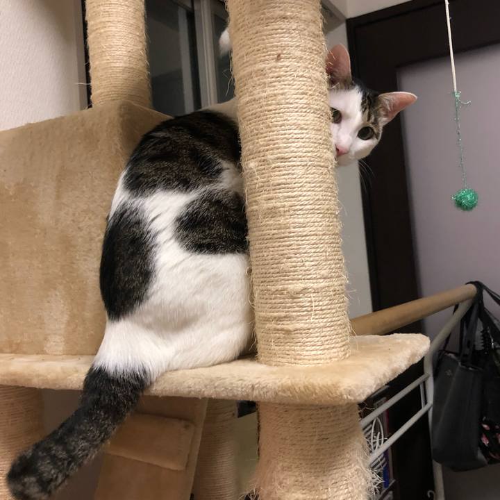 9ed38a58 ce87 4414 9aba 76e66e373225 1563024740394