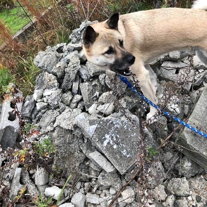 9ed3e74d b82d 4d37 a442 84be9d2acb74 1544529490668