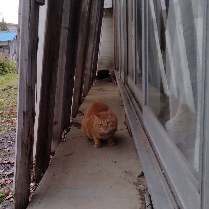 9ed41bfe b836 4af9 b294 e9b4d2efecfd 1670224587046