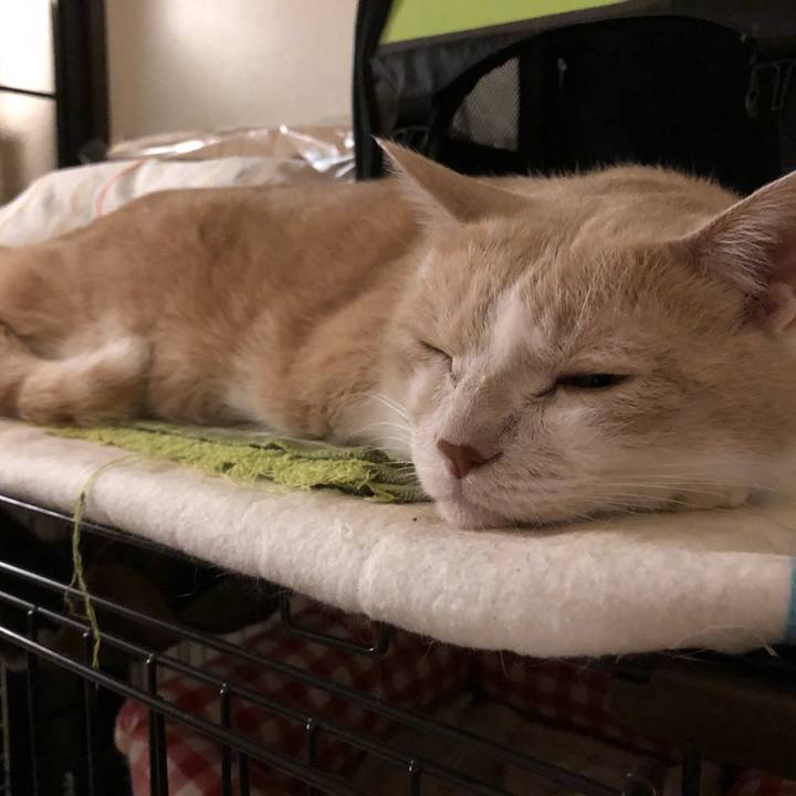 9ed443fb f224 4537 ae61 566de48b8dc2 1535367592344