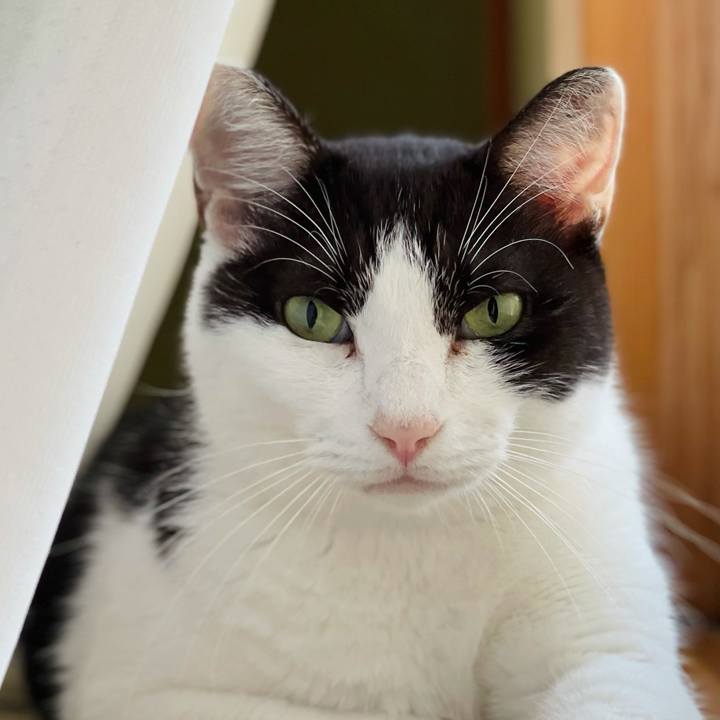 9ed4467d 2da7 4d75 b466 ea99c45a2da5 1631325551597