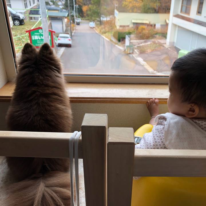 9ed44702 da08 414b a3c7 7d485782df84 1573218982580