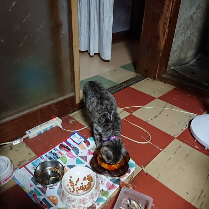 9ed44c2e dbf6 4e3d 85c3 fe9625fa53b1 1593891911676