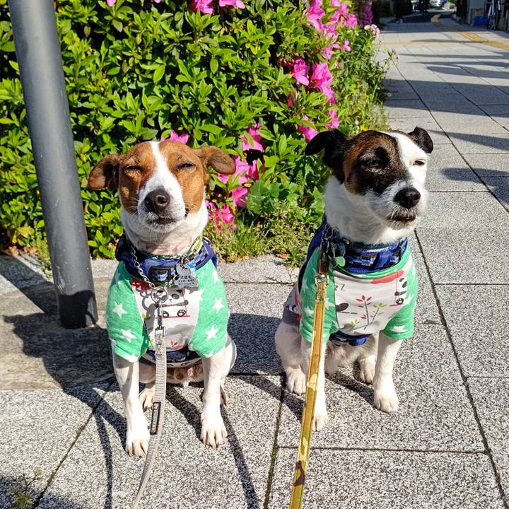 9ed4ebf0 7e72 46c8 8c15 2514ec4baa3c 1618786900238