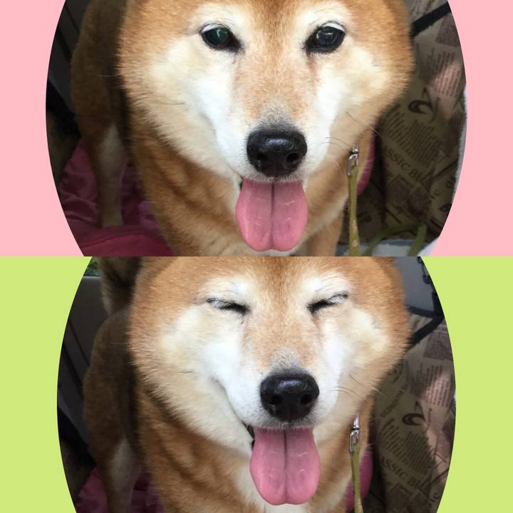 9ed527f8 b3db 4950 8fe6 1c59843eebfb 1619780637211