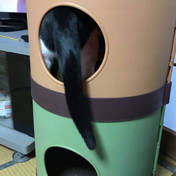 9ed54476 0da8 4d3e 85dd 957c429746f2 1651396582441