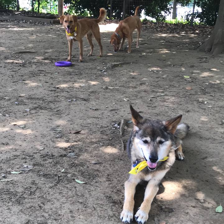 9ed54de0 acce 40ff aa34 82ca9c6c6c57 1532315560322