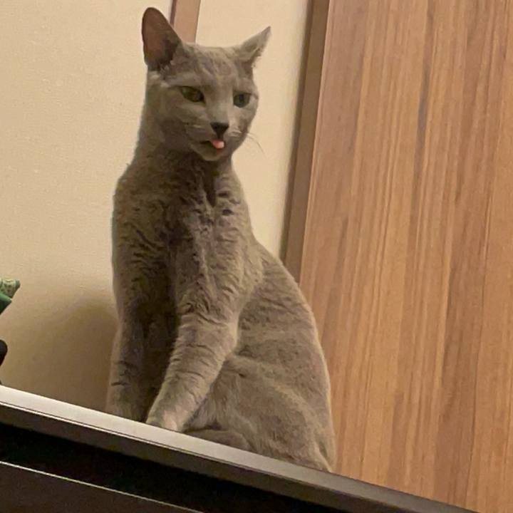 9ed55584 70fd 467b 95fd 33a8dcac2942 1737018587226