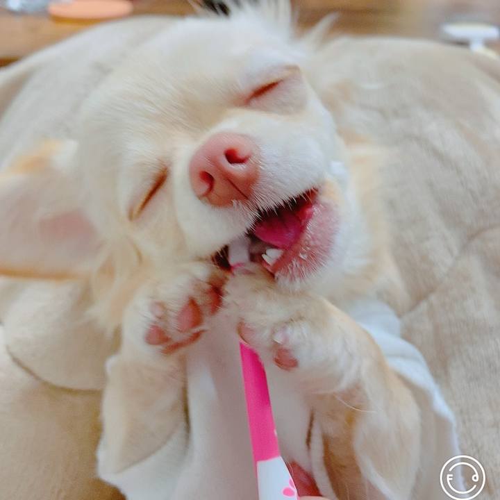 9ed57231 d347 4dc5 a805 256ef1510950 1613650579673