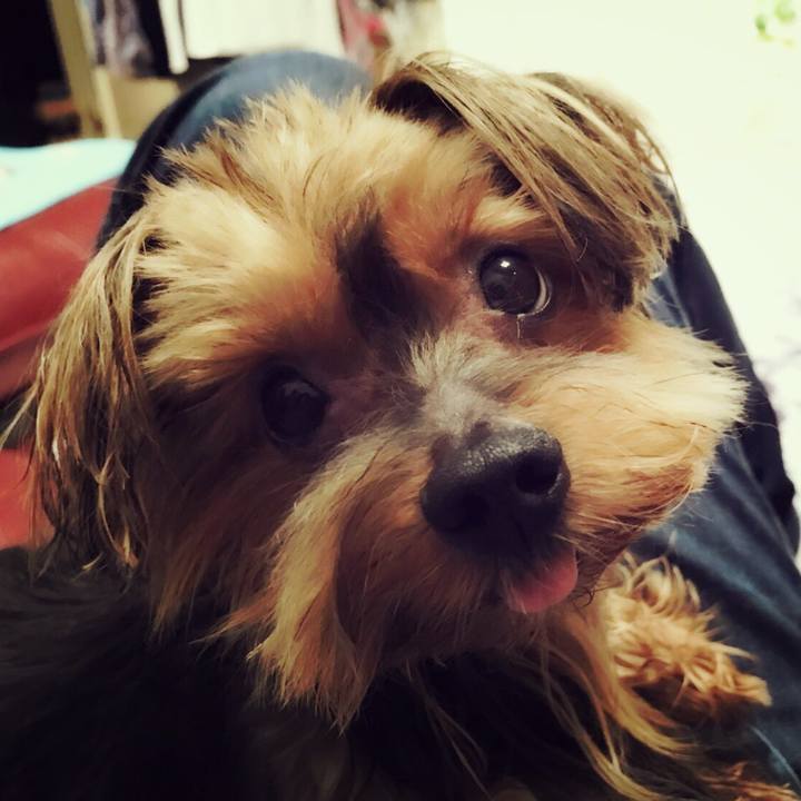 9ed5826b 2db7 4012 90e5 df6cebd17d97 1508231514876