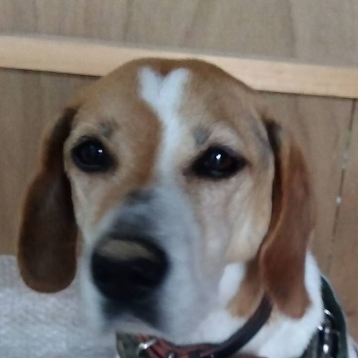 9ed582f8 bf82 4341 8e36 dd7a9e3cfaf4 1686390154723