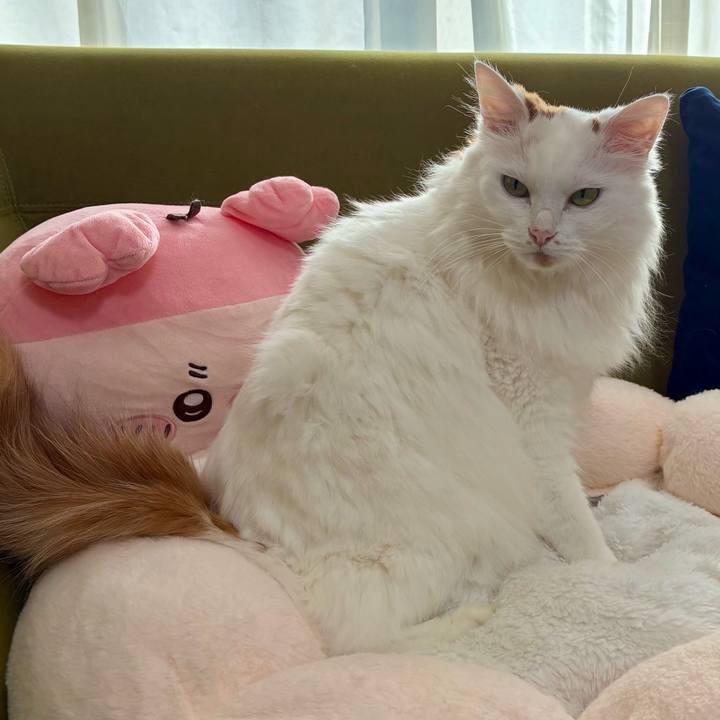 9ed5a20e 73b0 4e0f 9762 c3019289eb35 1765098617678