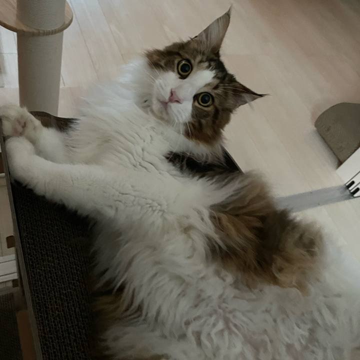 9ed5d1a2 01d7 4a5d b817 f1dd38035214 1655494415404