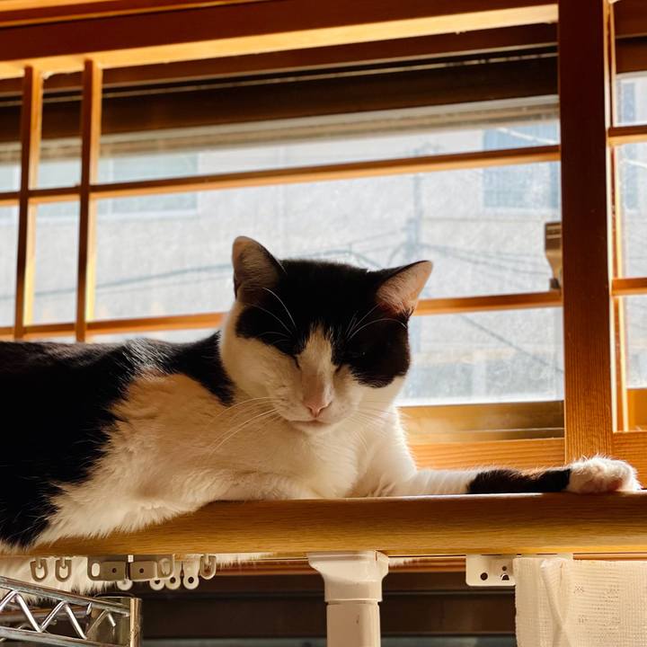 9ed5efa5 6161 4484 9973 75ed54b9423f 1621735959742