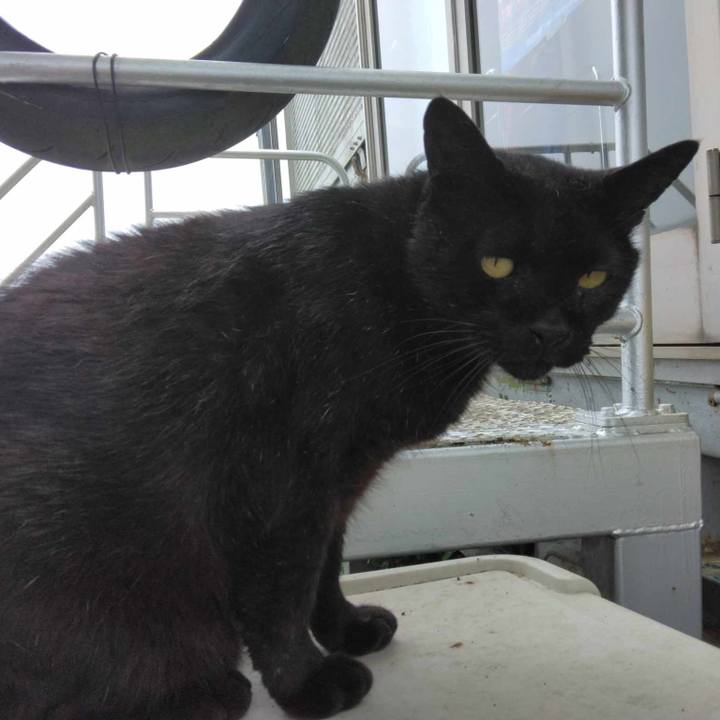 9ed5f749 12f3 4383 a23d a5c8339630d2 1720235469570