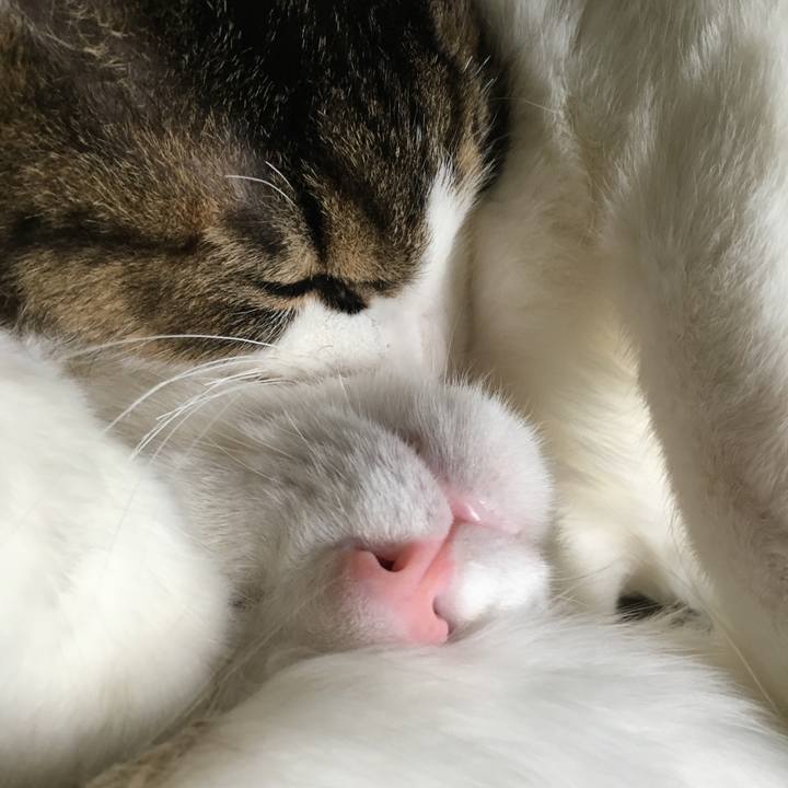 9ed612c5 2764 4091 92eb f934fe3e121a 1630928123951