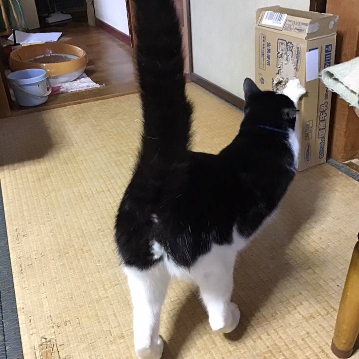 9ed61ead c586 48de 9c41 23f36744803b 1716454431911