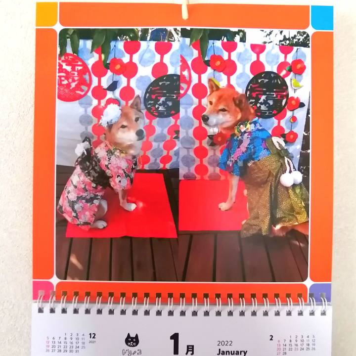 9ed638f4 b7e8 4d57 930c 9caba14db557 1643508644574