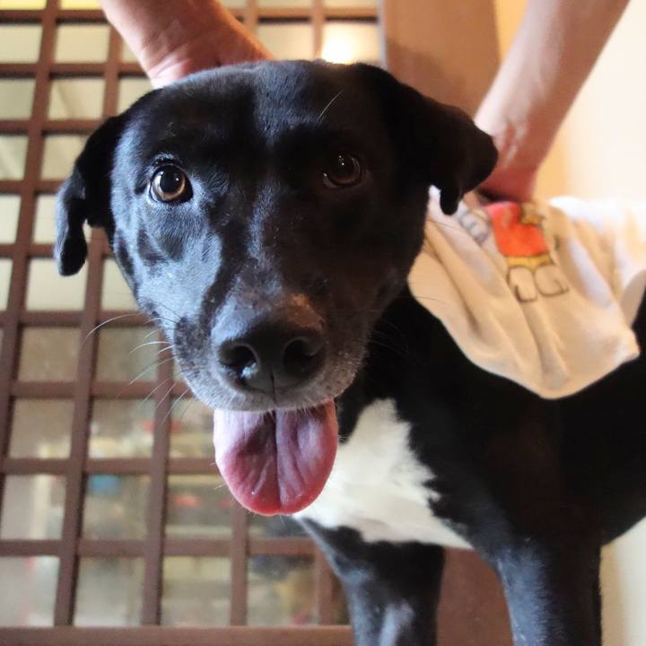 9ed688ea 8a5c 490d 8856 da42142c5dd8 1597968898121