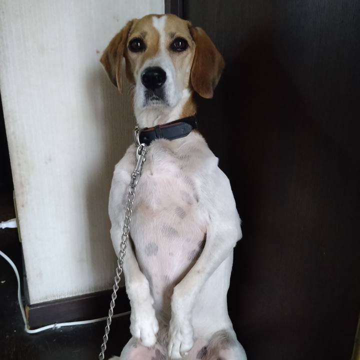 9ed696b4 bdfb 44b0 8c30 989c492913bf 1662220343785