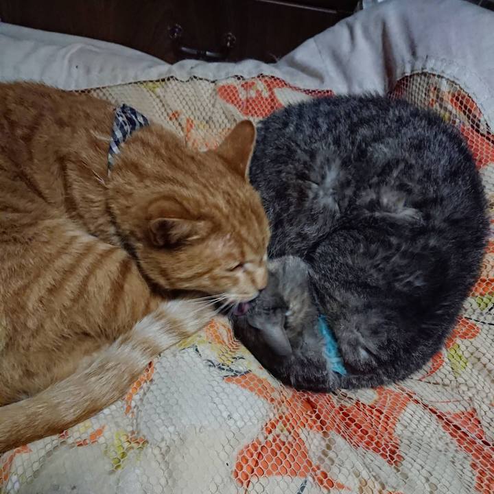 9ed69f8c 16ce 4ac4 ab32 0a01ea3f7f57 1604144042116