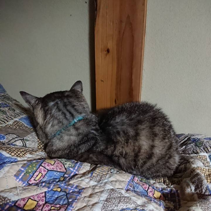 9ed78110 3922 4005 a30d d97a233dd213 1569789224199