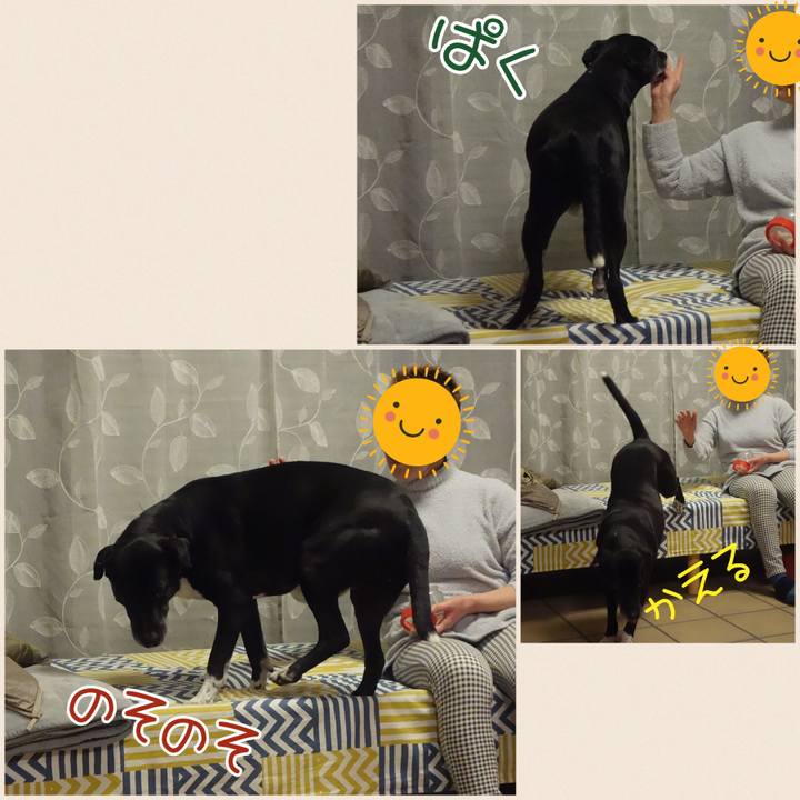 9ed79d6d d420 41d6 af28 f0b95e685277 1704711009664