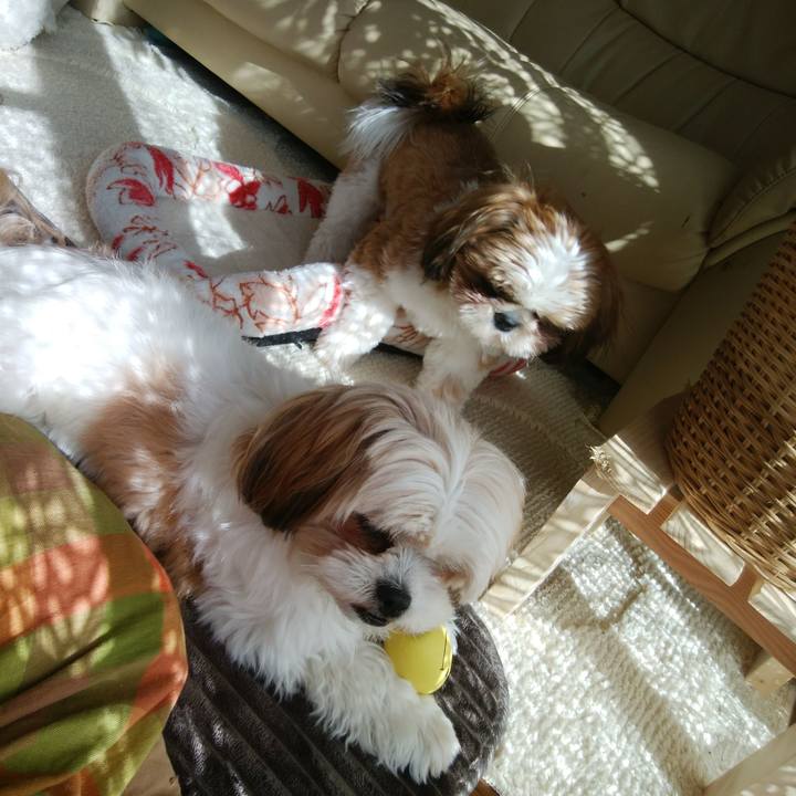 9ed80c3d 615e 4fe7 9b06 608504cb48e8 1543293253523