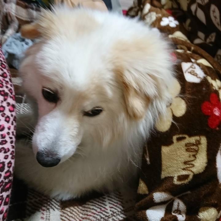 9ed81d32 69ce 4842 9551 0d4bcceb0a8b 1525827326567