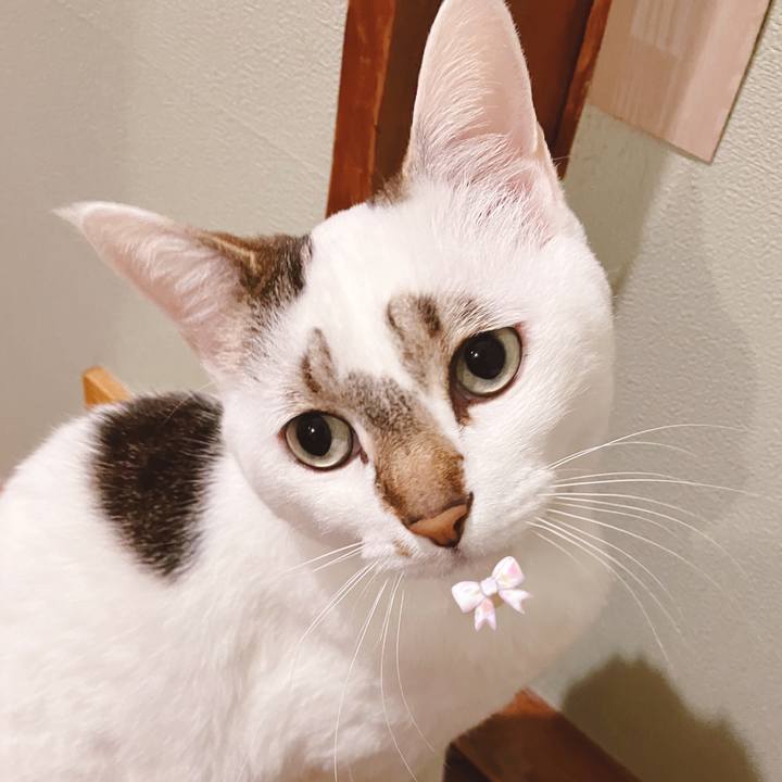 9ed81e3e 2670 4463 abe8 d78c996a38f3 1680783021364