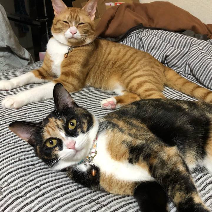 9ed857b4 da11 4f02 9e32 f49855bf45b6 1560688669951