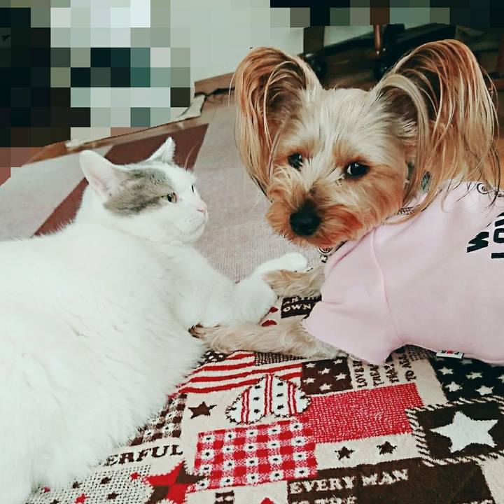 9ed89e33 d2c4 4f7a bbdc 878711a8c352 1511442380803