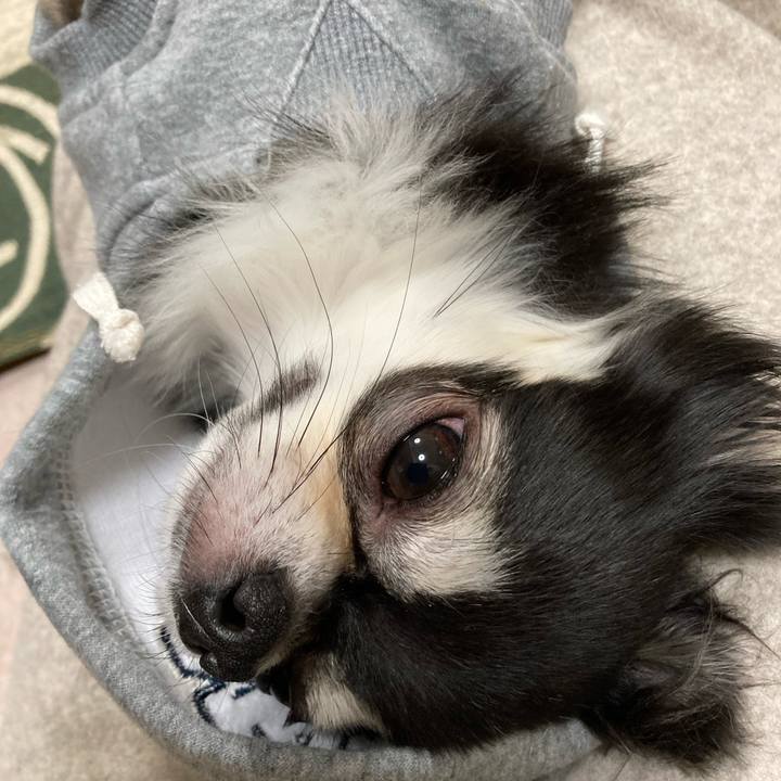 9ed8c1a3 c133 4a3f 9f58 368e4e4de1fb 1642862463785