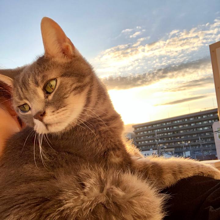 9ed8e931 fcbd 41ad b3de 64391552d886 1570611893220