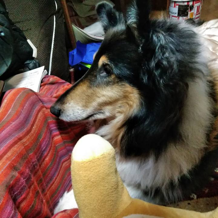 9ed8fcd3 3734 46f5 bb4e b73fae43ae68 1519567178586