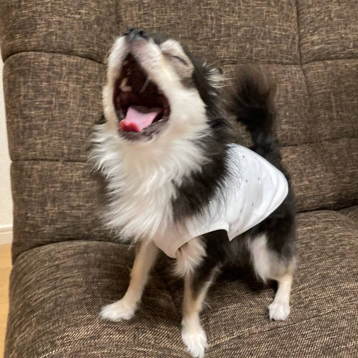 9ed8fd50 e635 4a9f 8402 b1c3ac7c702c 1691246649480