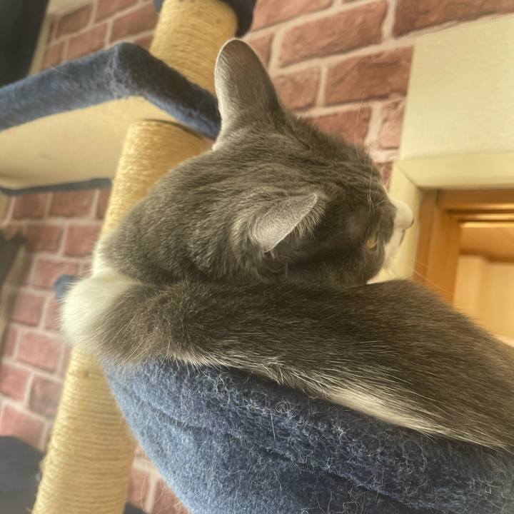 9ed91e39 a7c4 4f14 b01d 316e55b3ba6d 1701479852650