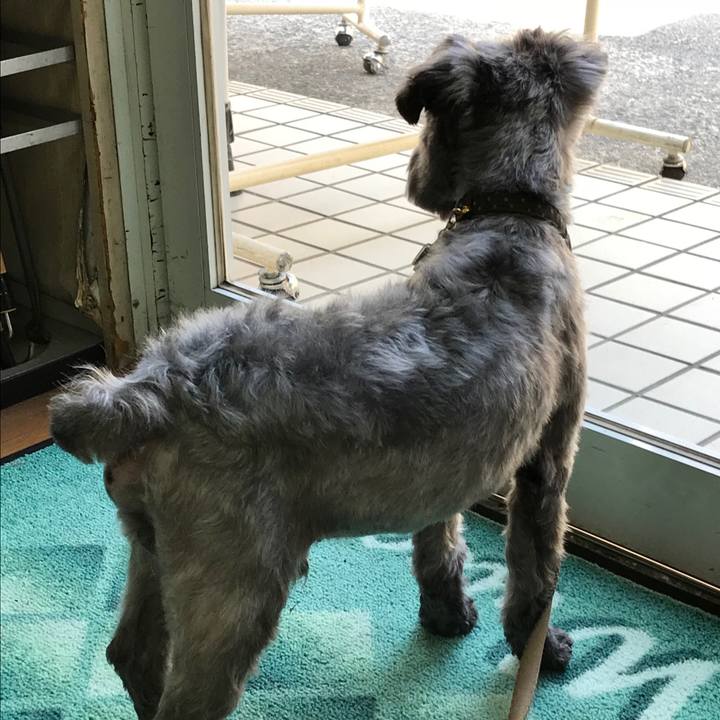 9ed944ec a77e 4553 8d25 a28eda02722c 1523600455338