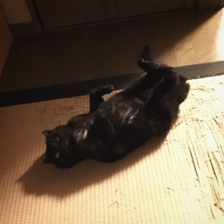 9ed961e3 bc03 4ab2 a68d 453b7254cf10 1514090940350