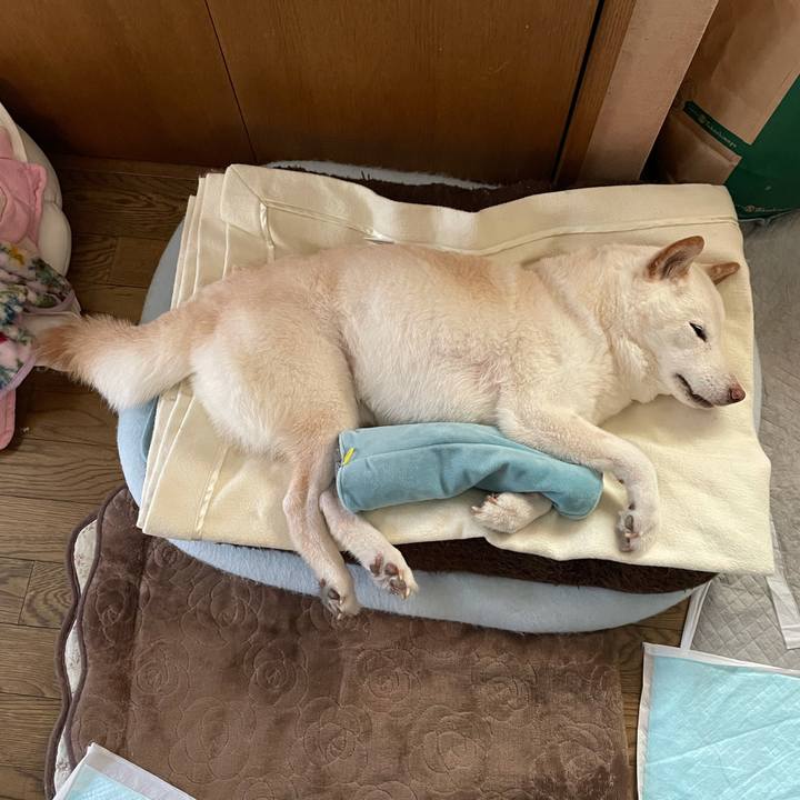 9ed9867d 4f17 440d b1a6 5583de21f24c 1635561552568