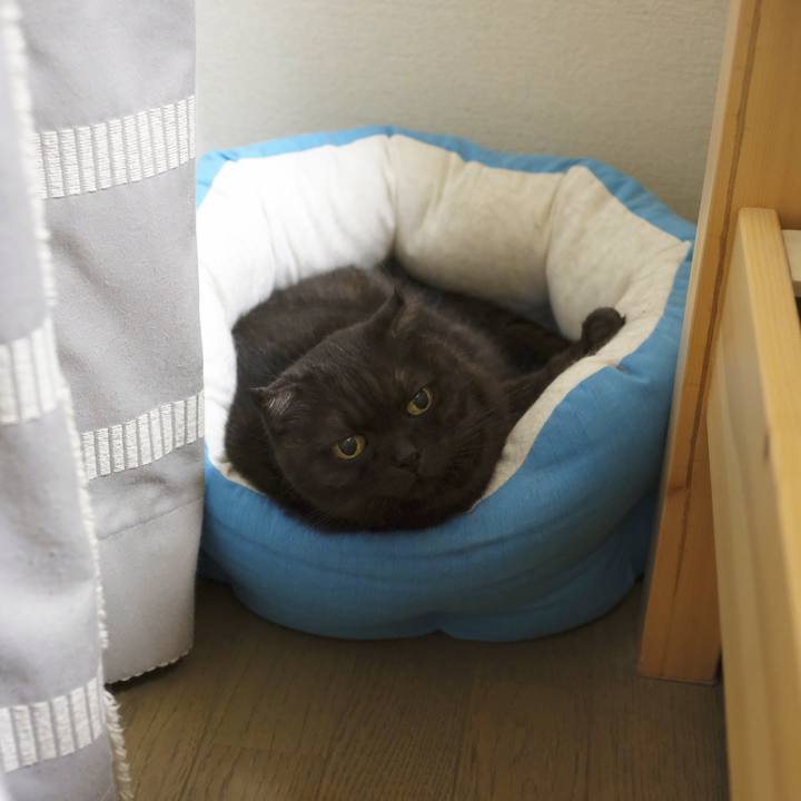 9ed98aad 7ee3 4e34 9625 a371a89418ae 1599731997213