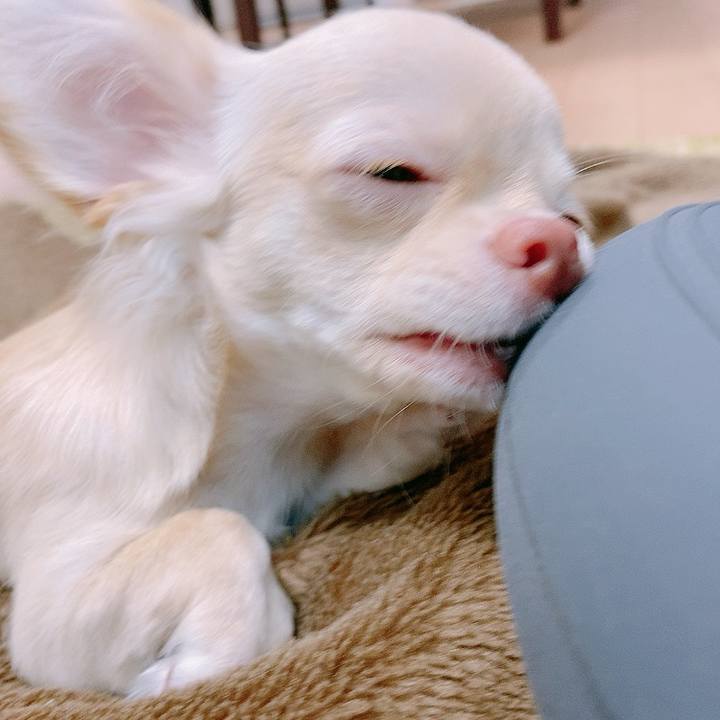 9ed9dfbf 1a31 4e80 88b9 df9b556d4965 1595384886281