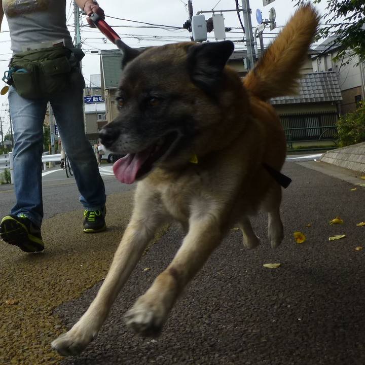 9ed9ec53 776d 44ef 90a2 2d9494b090d1 1578919227217