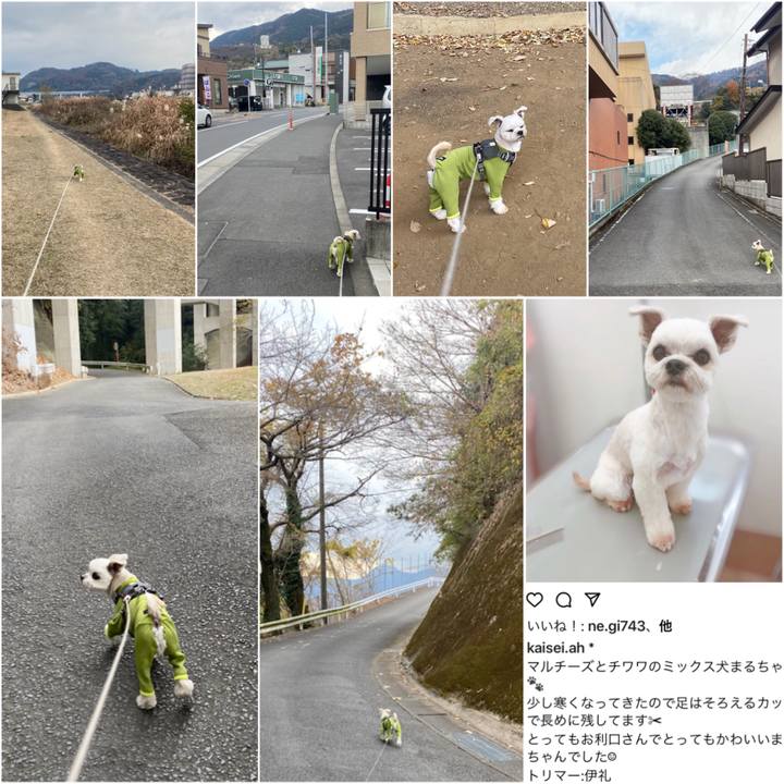 9eda23ad f9c1 4d51 b126 e1096f04b34a 1608376362021