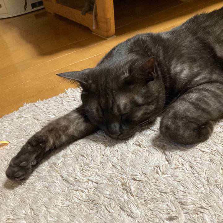 9eda36dc 5910 4468 8d33 40eb796f9a66 1711922144604