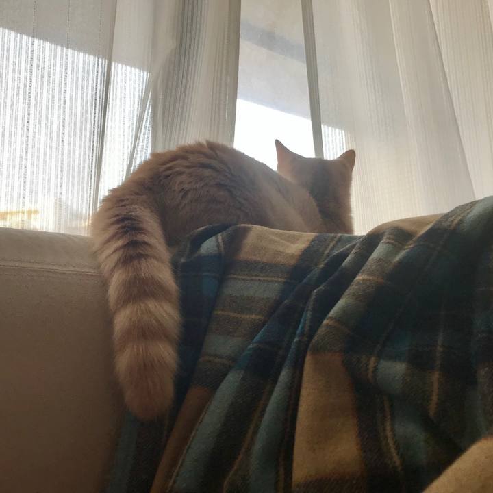 9eda6ad5 0d1b 4907 81fe f98b64dc5853 1520984878158