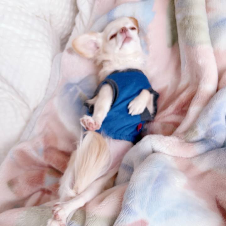 9edabbe0 ad59 458b afbf f9d72ec76b93 1696927911255