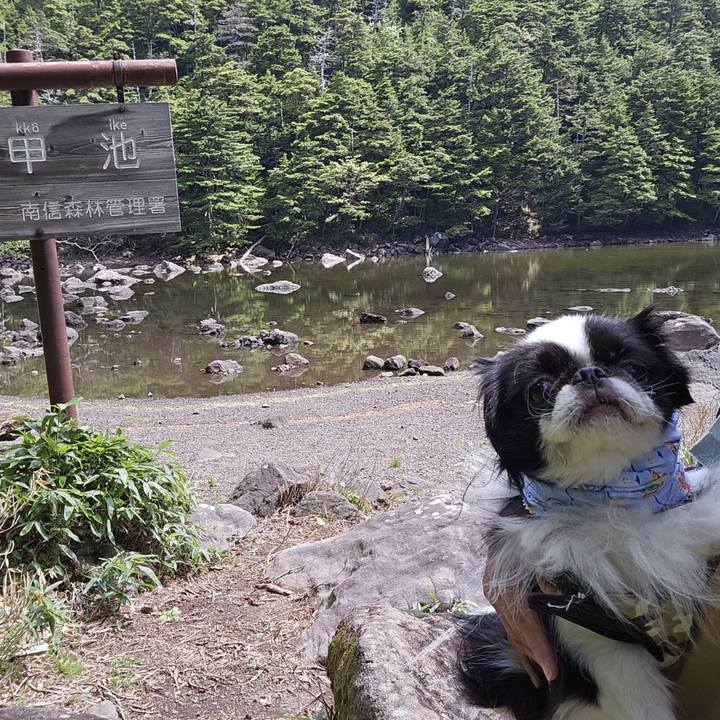 9edac799 e04f 438f bc13 28e232787acc 1725686742701