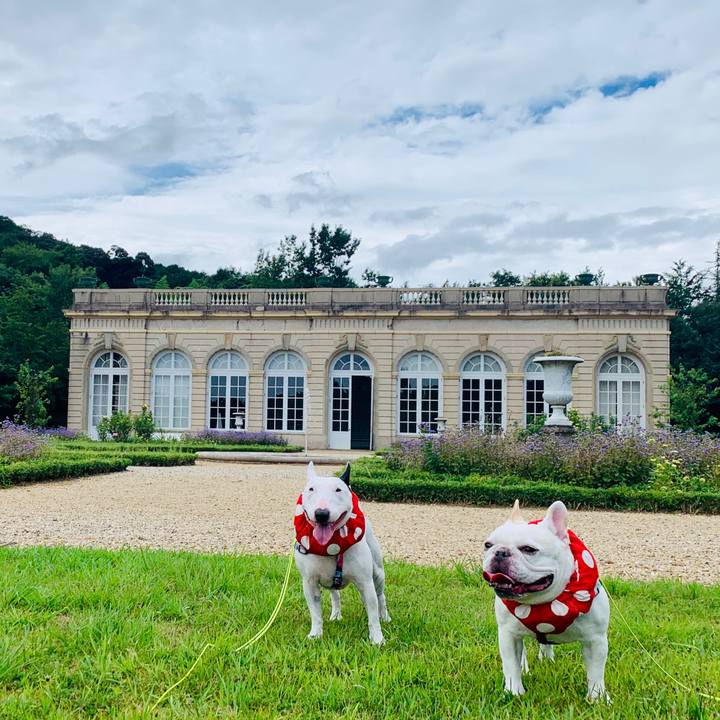 9edae48a 0be5 4048 9d54 14dd383d3e9c 1598682881070